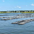 6mm Round Hollow Air Oyster Floating Mesh